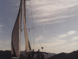 Törn 2000